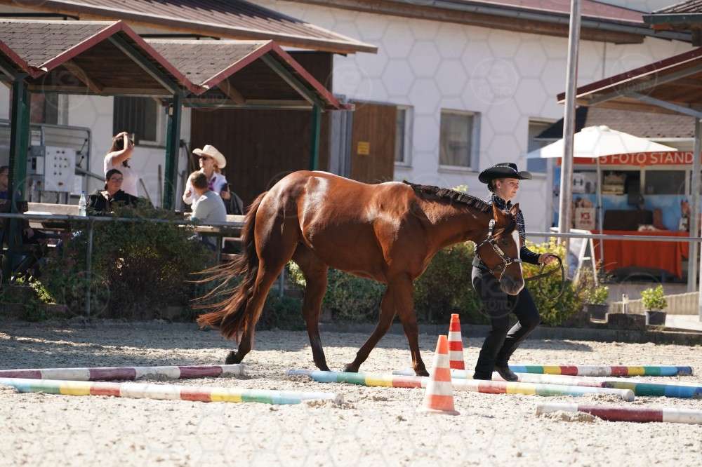 s_A_907607.JPG